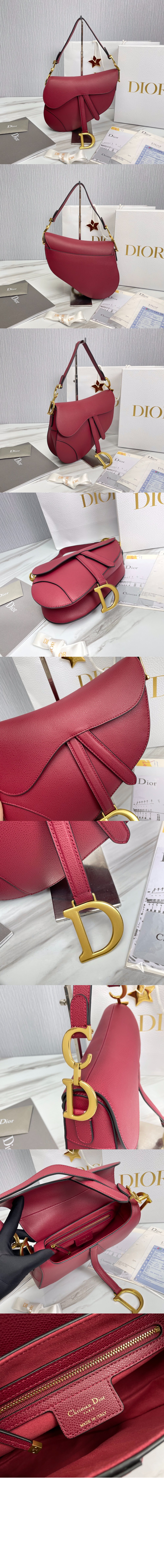 디올 새들백 미듐 M0446