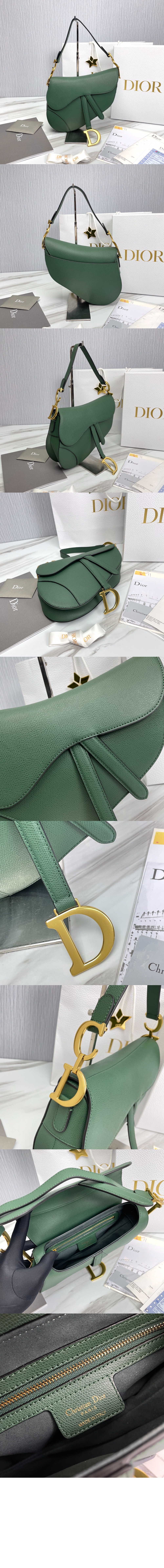 디올 새들백 미듐 M0446