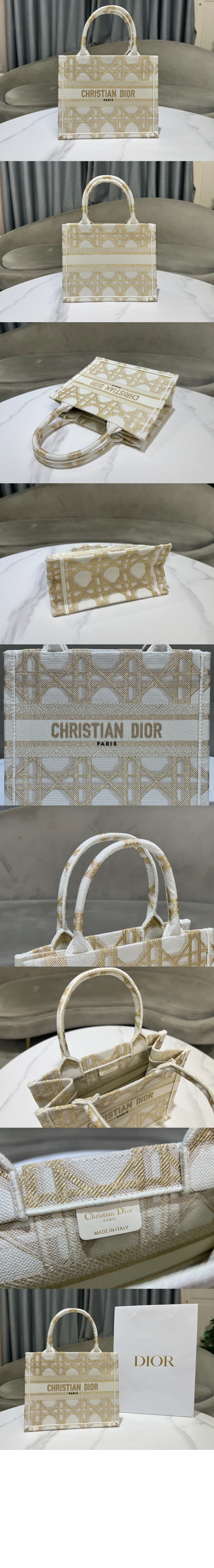 디올 북 토트백 스몰 M1265