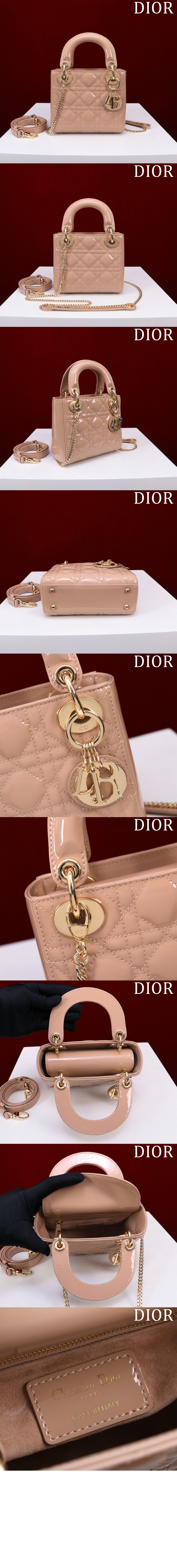 디올 레이디 미니백 M0505