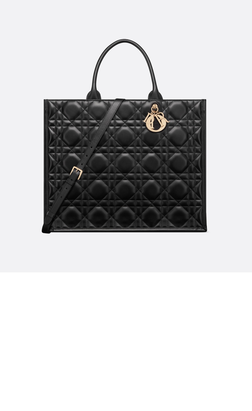 디올 북 토트백 라지 M1323