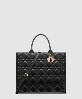 디올 북 토트백 라지 M1323