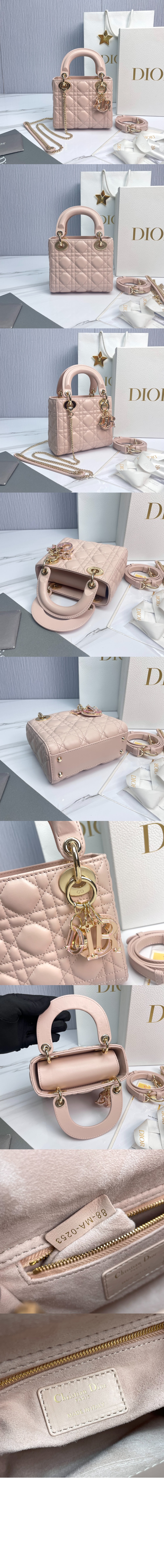 디올 레이디 미니백 M0505