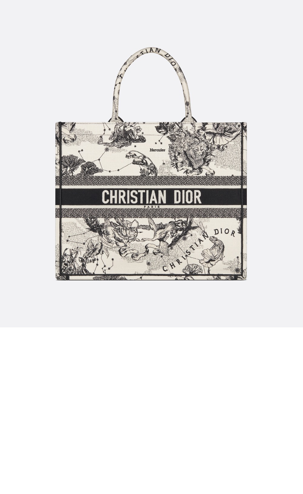 디올 북 토트백 라지 M1286