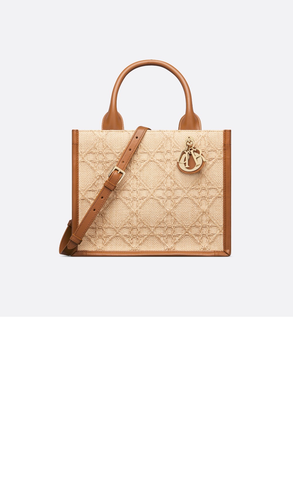 디올 북 토트백 스몰 M1325