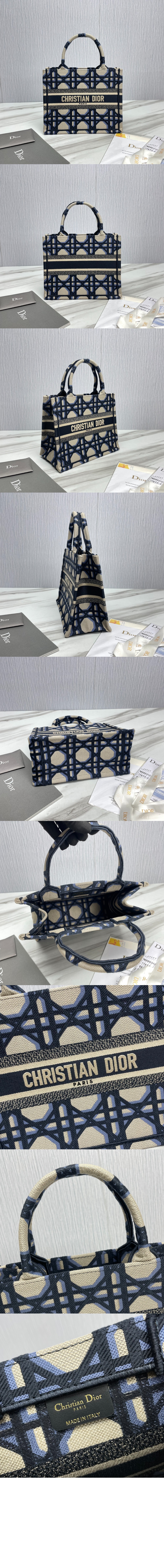 디올 북 토트백 스몰 M1265