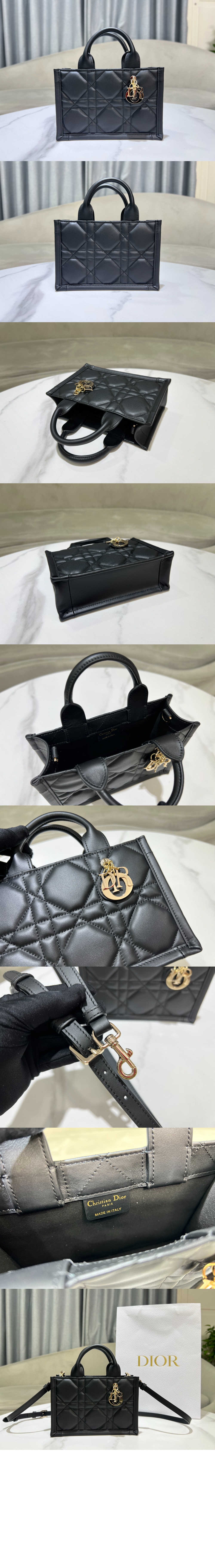 디올 북 토트 미니 숄더백 S5573