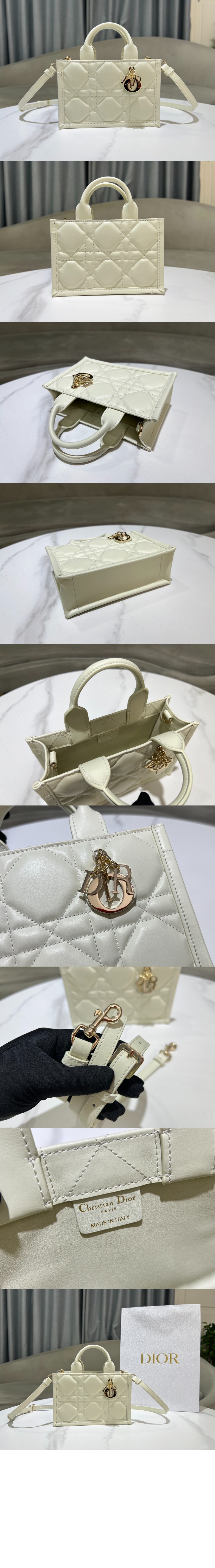 디올 북 토트 미니 숄더백 S5573