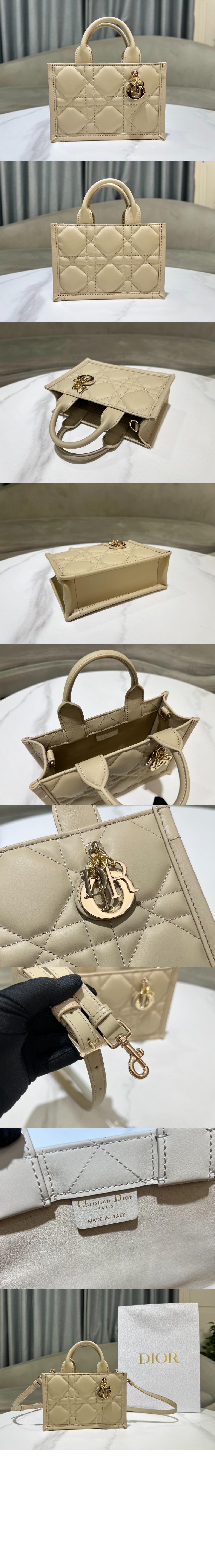 디올 북 토트 미니 숄더백 S5573