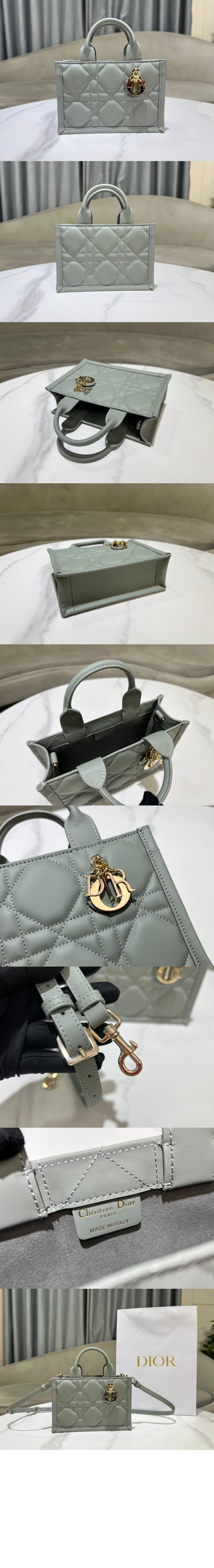 디올 북 토트 미니 숄더백 S5573