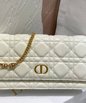 디올 카로 체인 크로스 20