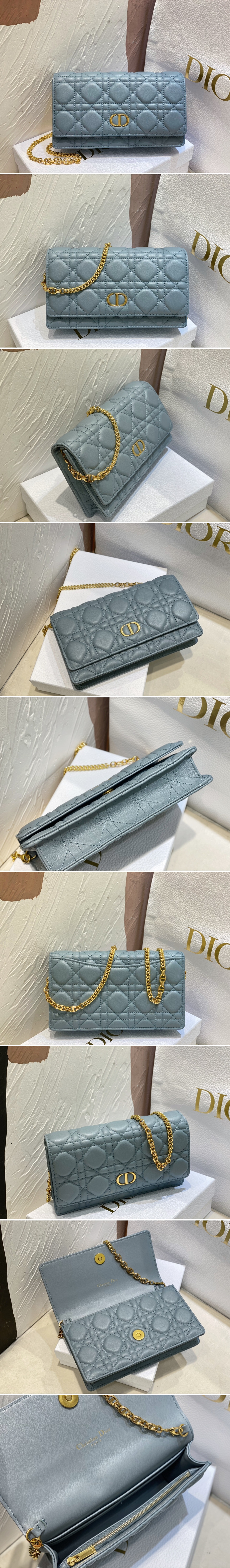 디올 카로 체인 크로스 20