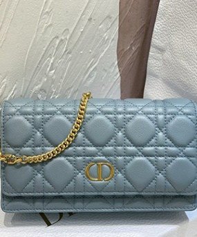 디올 카로 체인 크로스 20