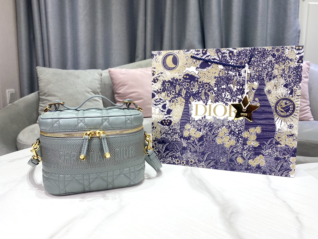 디올 레이디 트래블 베니티 케이스 그레이