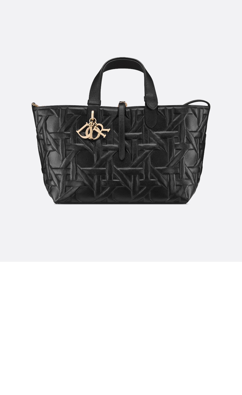 디올 미듐 뚜주흐 토트백 M2821