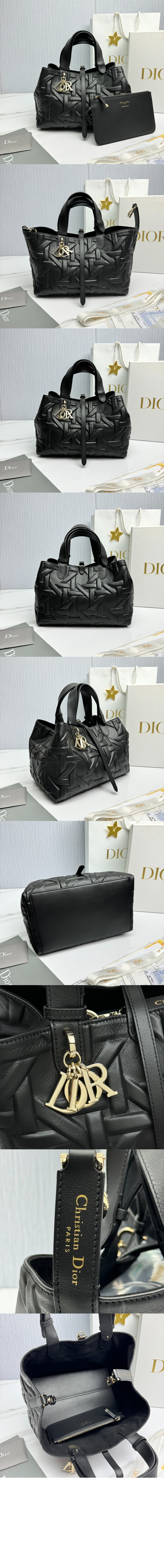 디올 미듐 뚜주흐 토트백 M2821