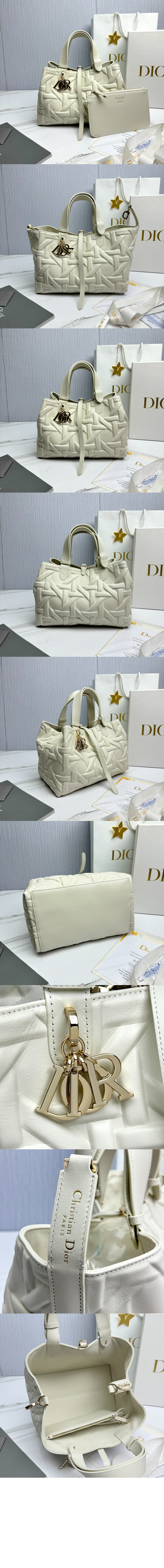 디올 미듐 뚜주흐 토트백 M2821