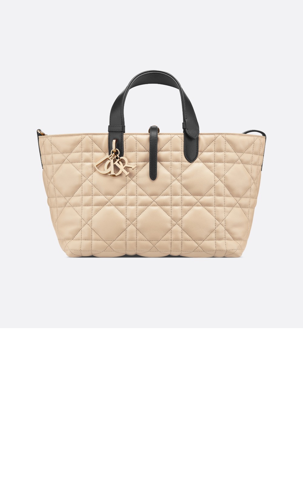 디올 미듐 뚜주흐 토트백 M2821