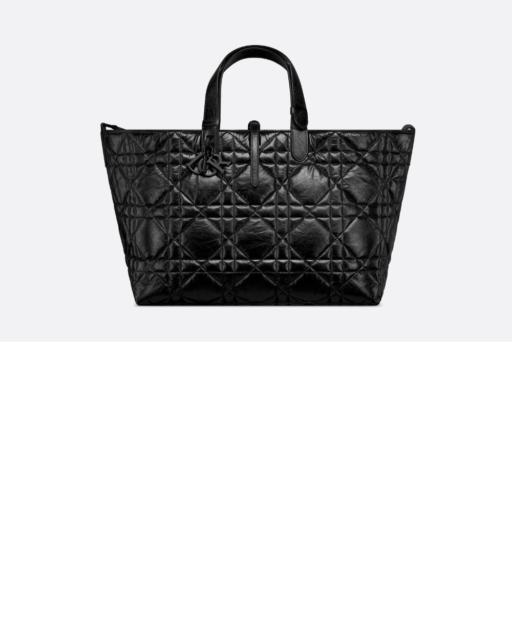 디올 라지 뚜주흐 토트백 M2820