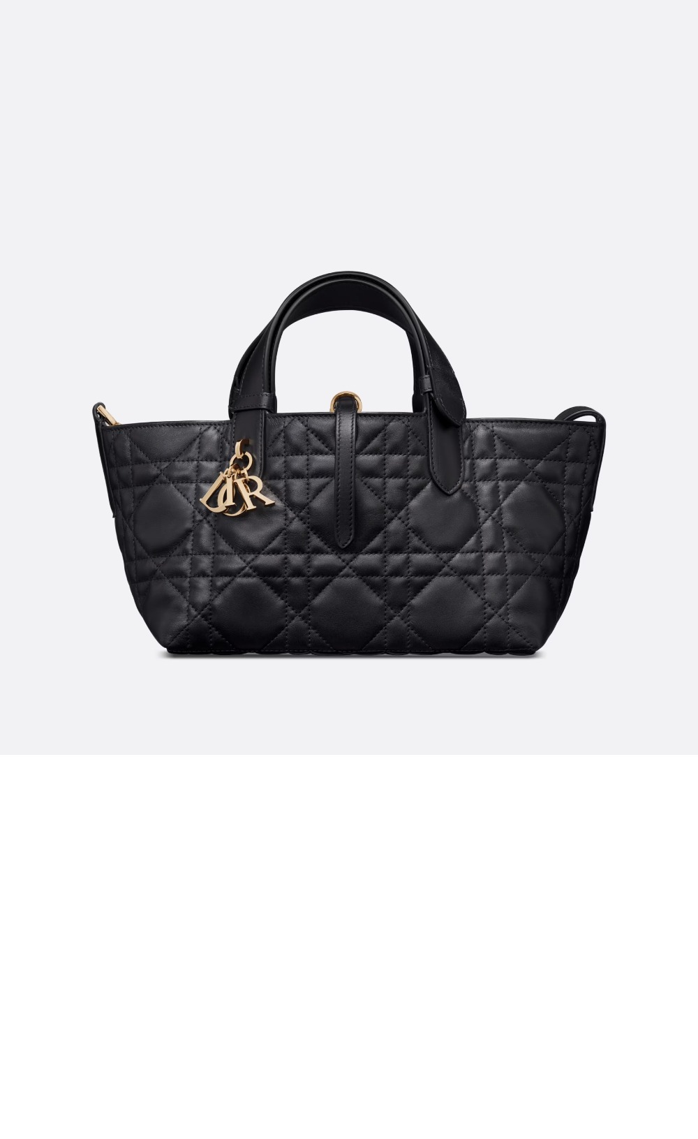 디올 뚜주흐 토트백 스몰 M2822