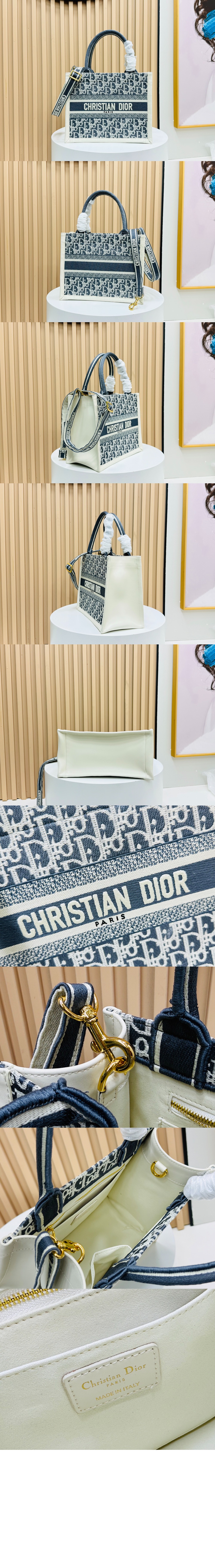 디올 레이디 까나쥬 북토트백 스몰 M1325