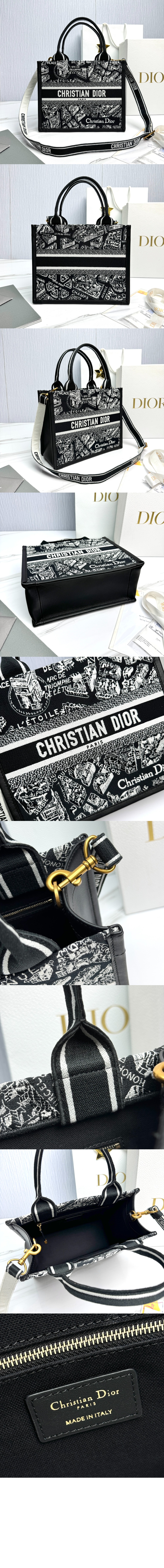 디올 레이디 까나쥬 북토트백 스몰 M1325