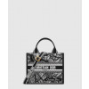디올 레이디 까나쥬 북토트백 스몰 M1325