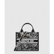디올 레이디 까나쥬 북토트백 스몰 M1325