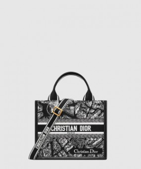 디올 레이디 까나쥬 북토트백 스몰 M1325