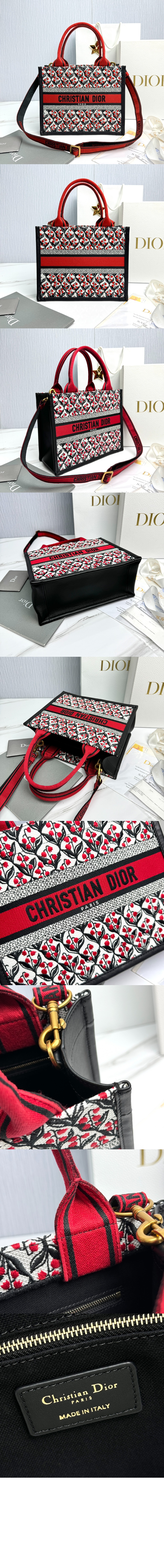 디올 레이디 까나쥬 북토트백 스몰 M1325