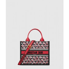 디올 레이디 까나쥬 북토트백 스몰 M1325