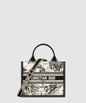 디올 레이디 까나쥬 북토트백 스몰 M1325