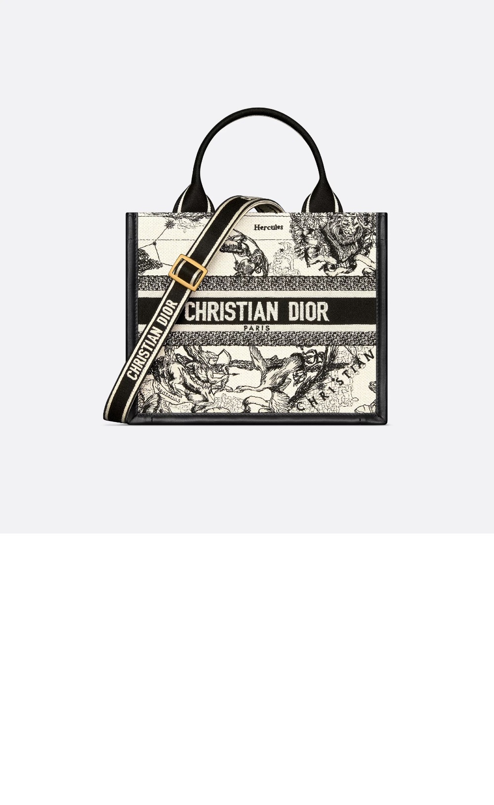 디올 레이디 까나쥬 북토트백 스몰 M1325