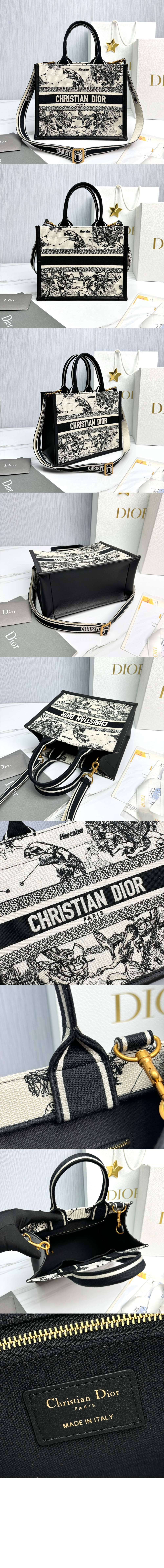 디올 레이디 까나쥬 북토트백 스몰 M1325