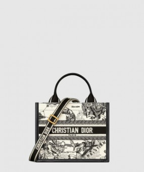 디올 레이디 까나쥬 북토트백 스몰 M1325
