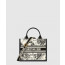 디올 레이디 까나쥬 북토트백 스몰 M1325
