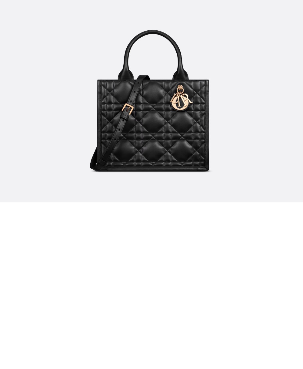 디올 레이디 까나쥬 북토트백 스몰 M1325