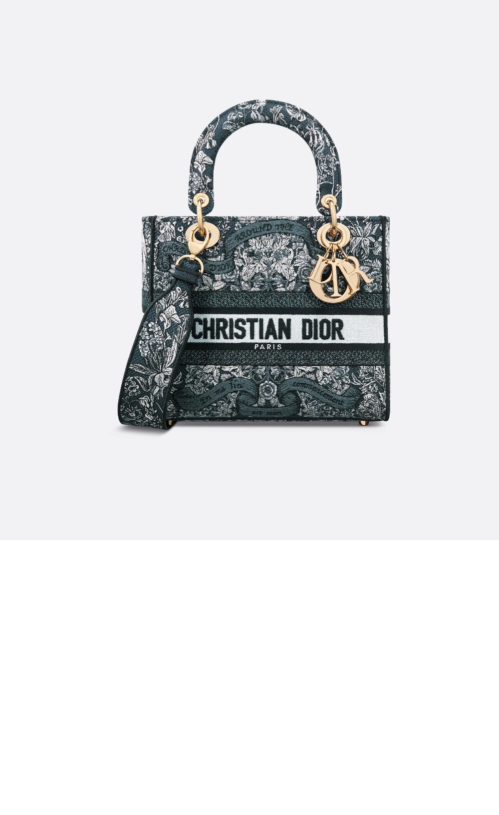 디올 레이디백 디라이트 미듐 M0565