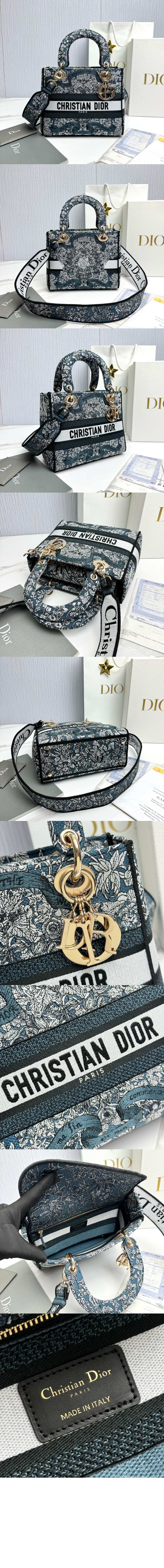 디올 레이디백 디라이트 미듐 M0565