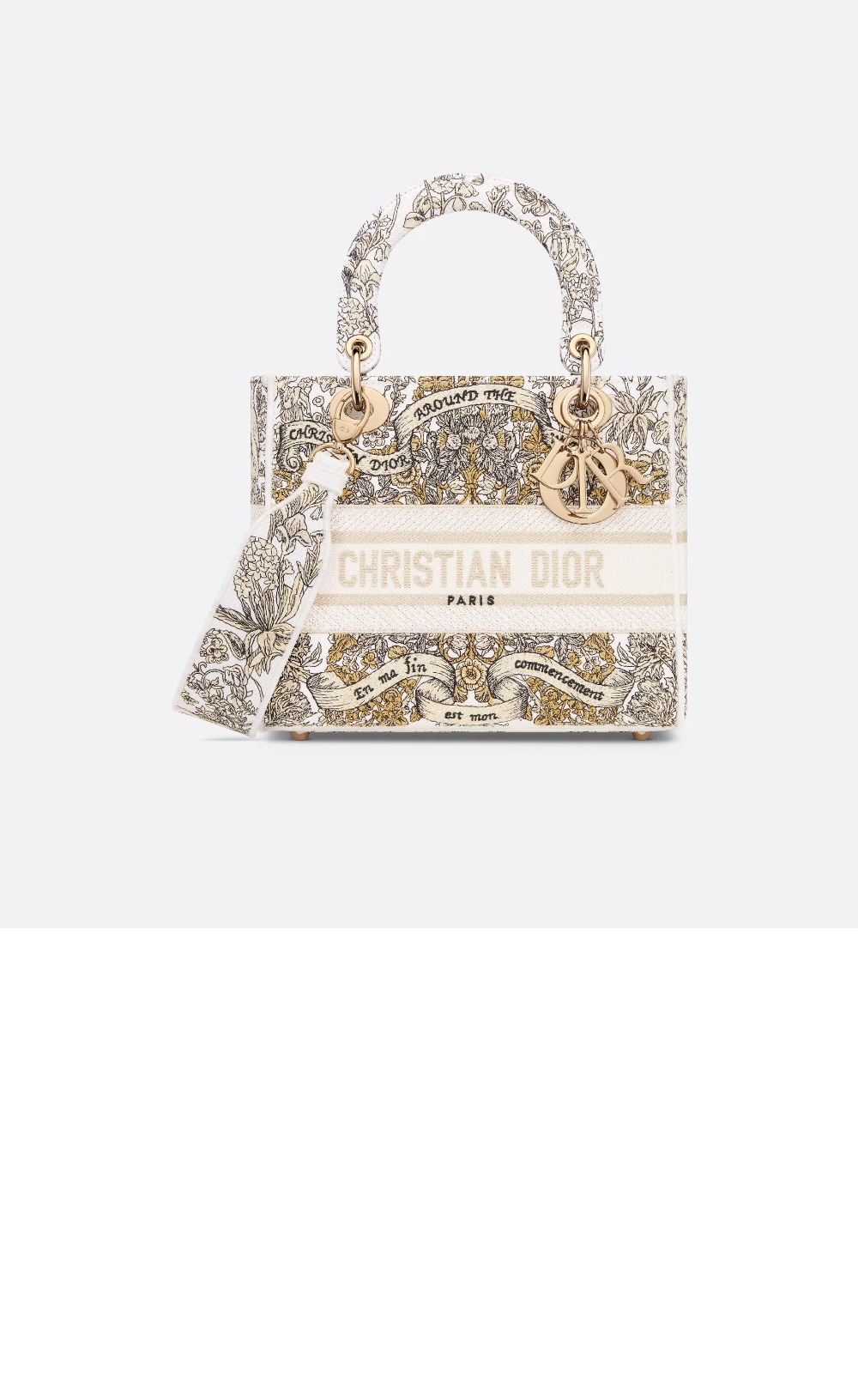 디올 레이디백 디라이트 미듐 M0565