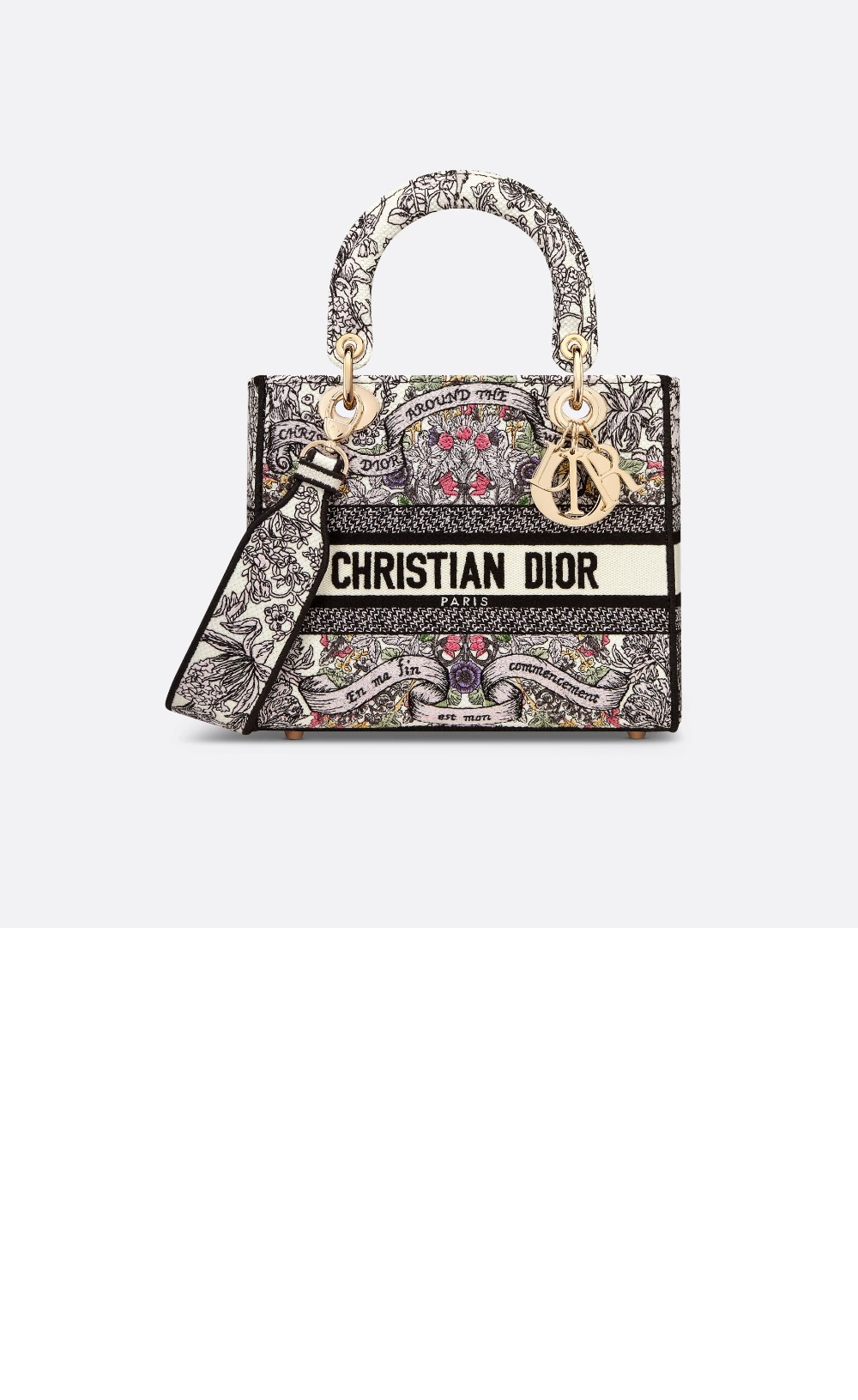 디올 레이디백 디라이트 미듐 M0565