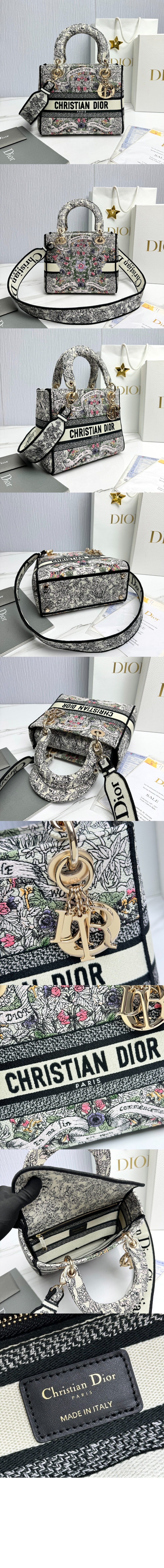 디올 레이디백 디라이트 미듐 M0565