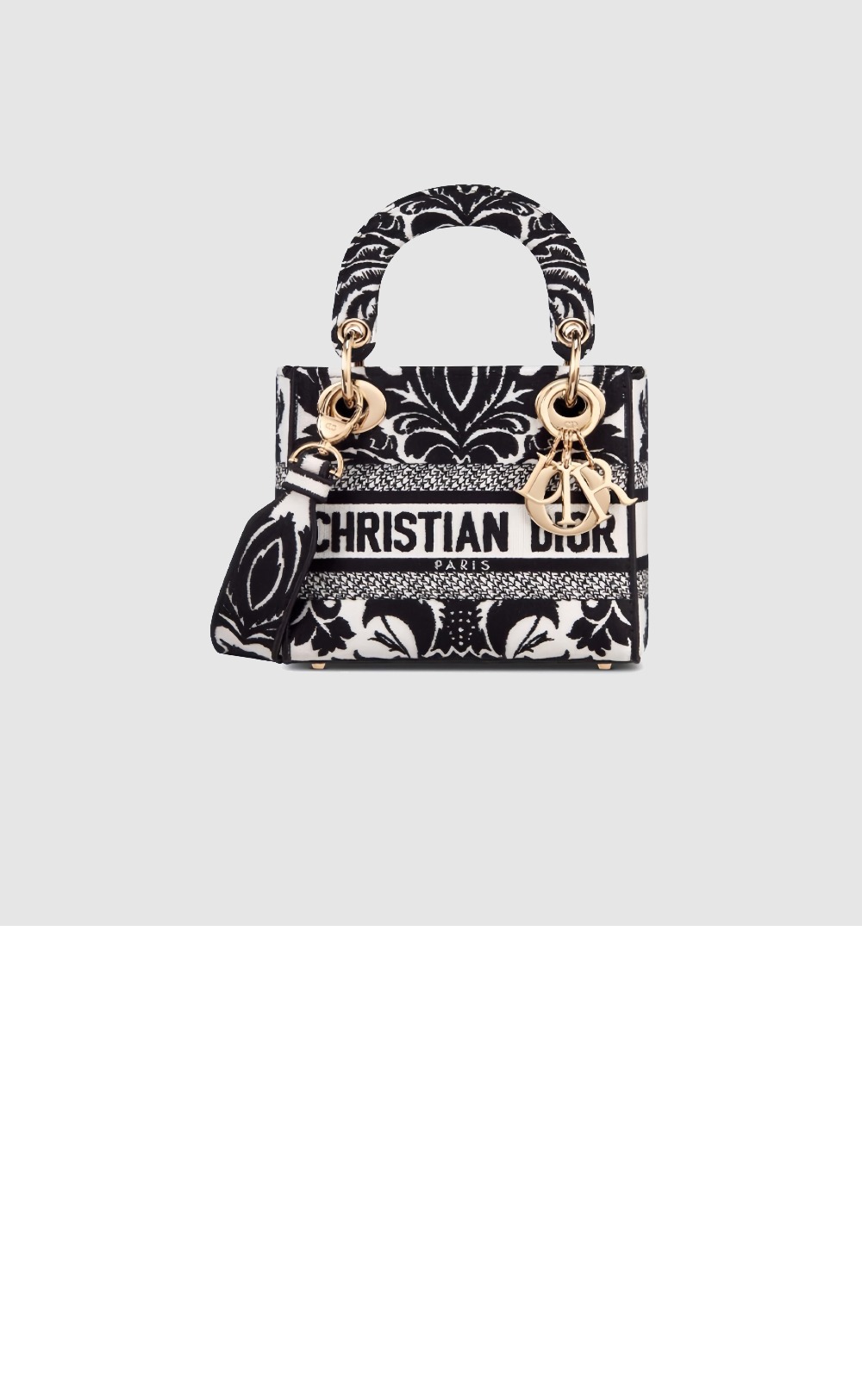 디올 레이디백 디라이트 미니 M0500