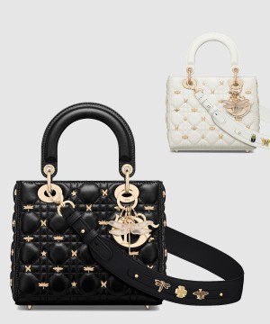 디올 레이디백 ABC M0538