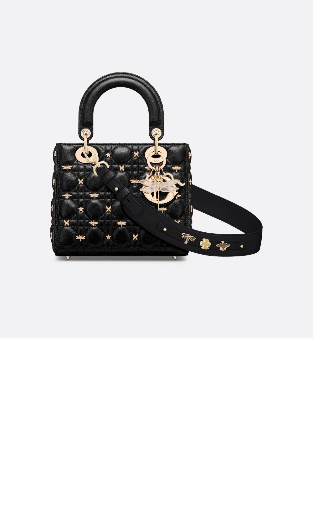 디올 레이디백 ABC M0538