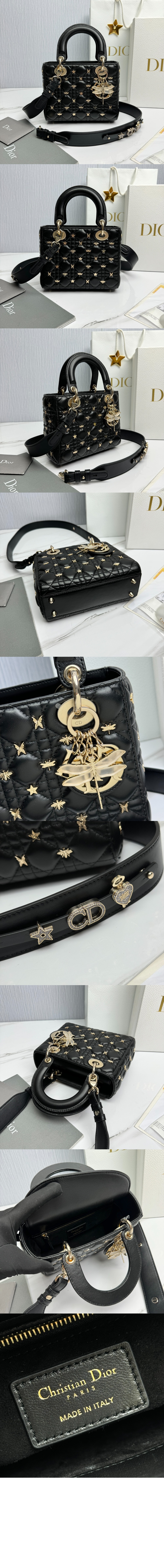 디올 레이디백 ABC M0538