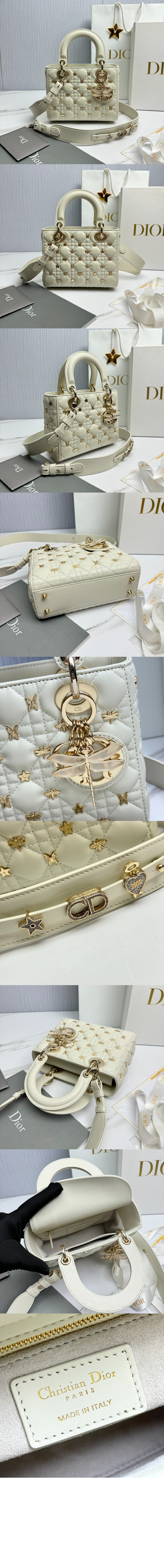 디올 레이디백 ABC M0538