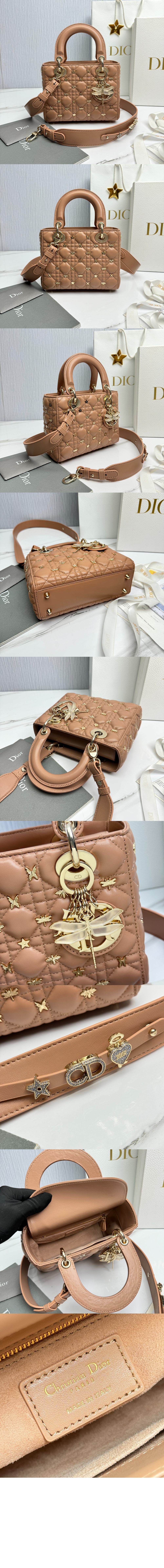 디올 레이디백 ABC M0538