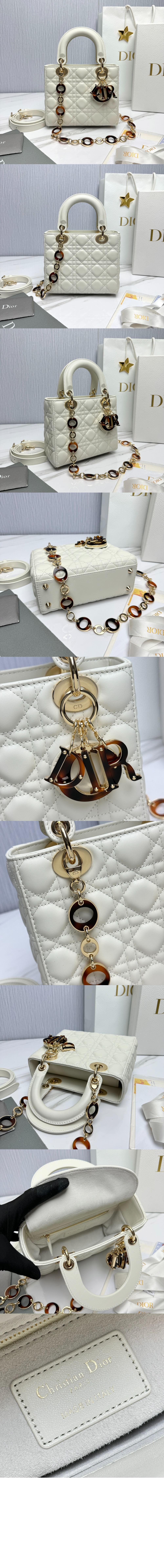 디올 레이디백 스몰백 M0531