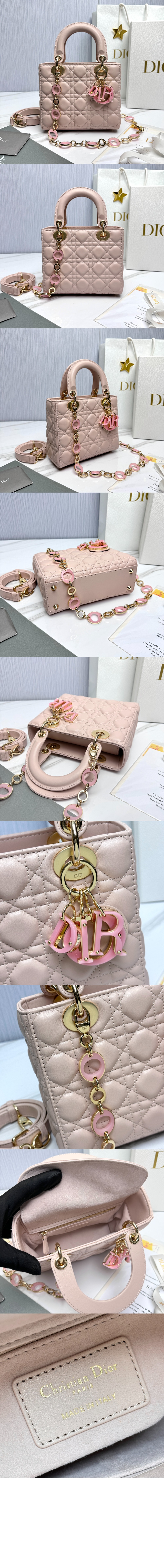 디올 레이디백 스몰백 M0531